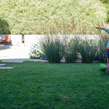 Garden/Yard