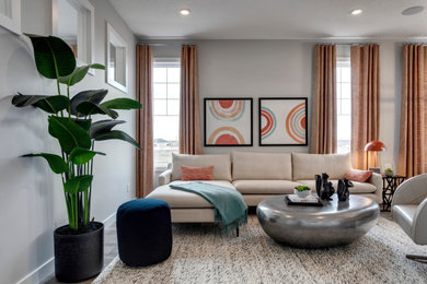 Example of a minimalist living room design in Calgary