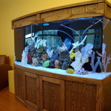 A portfolio of custom aquariums from our 17+ year history.