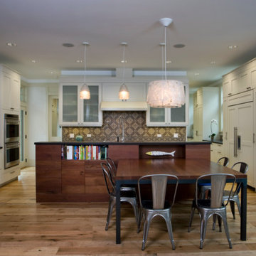 Green New Home Construction - Wilmette, IL