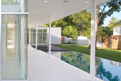 This is an example of a modern rectangular pool in Dallas.