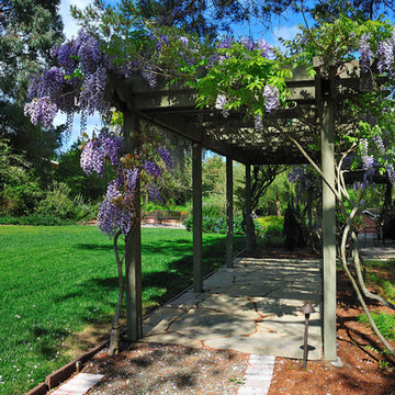 Wisteria pergola over bluestone path