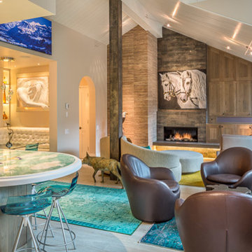Penthouse Remodel