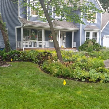 Rockford mulch-less front yard