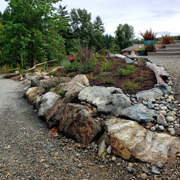 Frontyard Food Forest