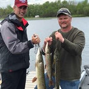Mike Day's photo