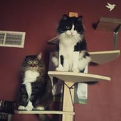 Talena Penn's photo