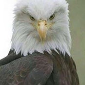 Marty Coleman's photo