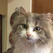 Marge Gettelman's photo