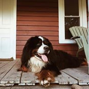 Benjamin Ray's photo