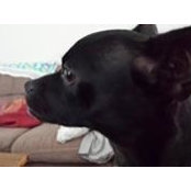 Daniel Morgan's photo