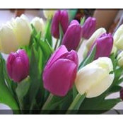 Barbara Monroy's photo