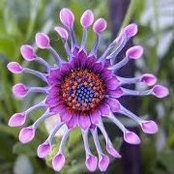Kim Berglund's photo