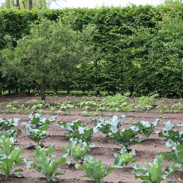 Edible Gardens