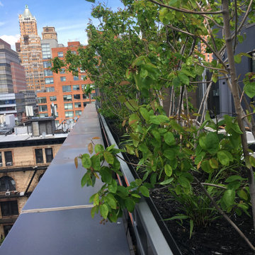 Brooklyn condo common space rooftop