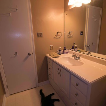 Partial remodel small bathroom