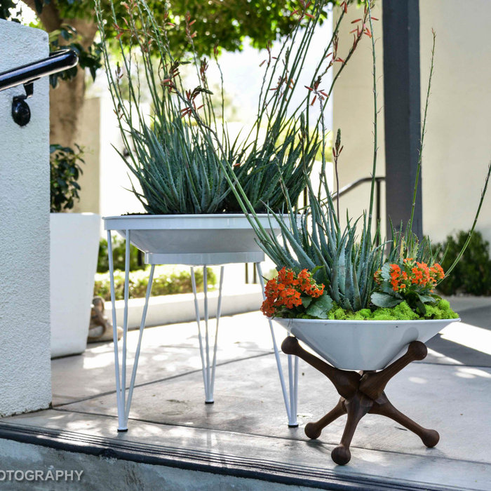 Exterior styling project at the Avalon Hotel in Palm Springs, CA. for Modernism Week using the Steel Life planter line.