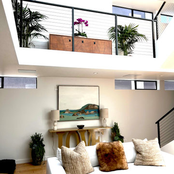 Venice Beach Whole Home Transformation