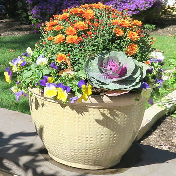 Cottage Garden