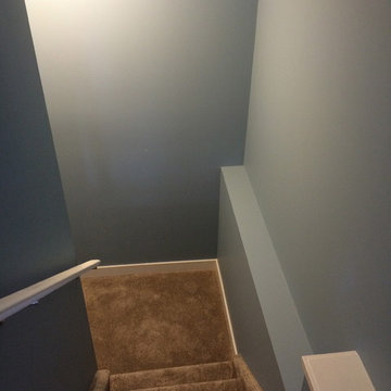 Basement developement