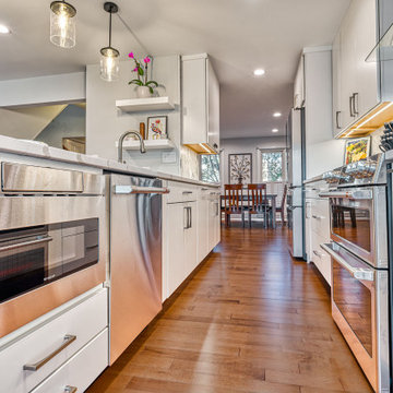 Oakton Contemporary Kitchen Remodel