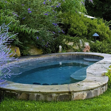 Natural Free Form Stand Alone Spa