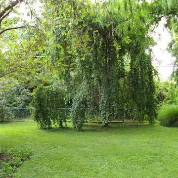 Clintonville Sanctuary