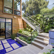VERTICAL GARDEN