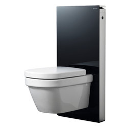 Wall-Mounted Geberit Monolith with Black Glass - Toilets
