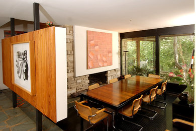 Dining room - mid-century modern dining room idea in Other