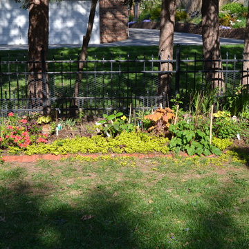 DIY Landscape - Woodland or Shade Gardening