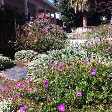 Remove Lawn for a Nectar Garden