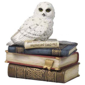 Snow Owl On Books Trinket Box- Painted