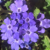 Jennifer Boettger's photo
