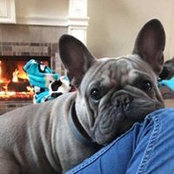 Jeanne Davis's photo