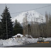 Claudette Davidson's photo