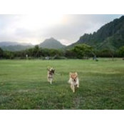 Vicki Espiritu's photo