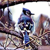 Lynn Maruyama's photo