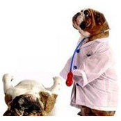 Lisa Fredericks's photo