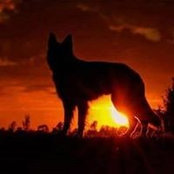 Kevin Crouch's photo