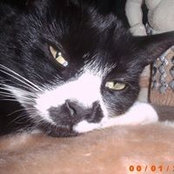 Carmen Stienen's photo