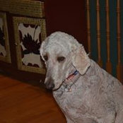 Christine Simard's photo