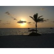 Stephanie Teachman's photo