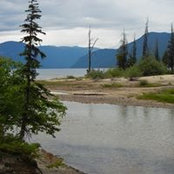 Joyce Moxham's photo