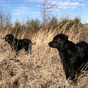 Stacey Fano's photo