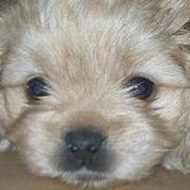 Foto de Sandy Boardman