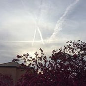 Myrna LeCount's photo