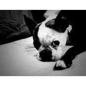 Rowan Balagot's photo