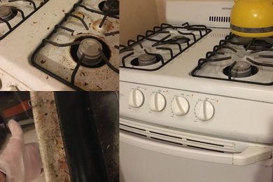 Deep Cleaning of Stove and Oven in Queens