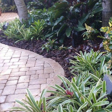 Tropical Paradise - Backyard Makeover